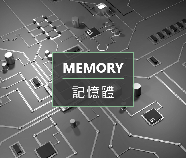 ProMOS Memory 記憶體